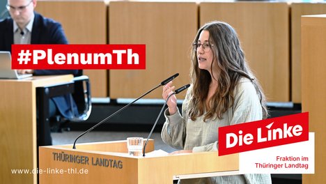 Lena Saniye Güngör Plenum